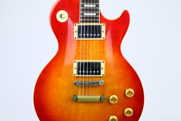 Navigator Les Paul̑S̎ʐ^